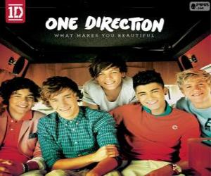пазл What Makes You Beautiful, One Direction